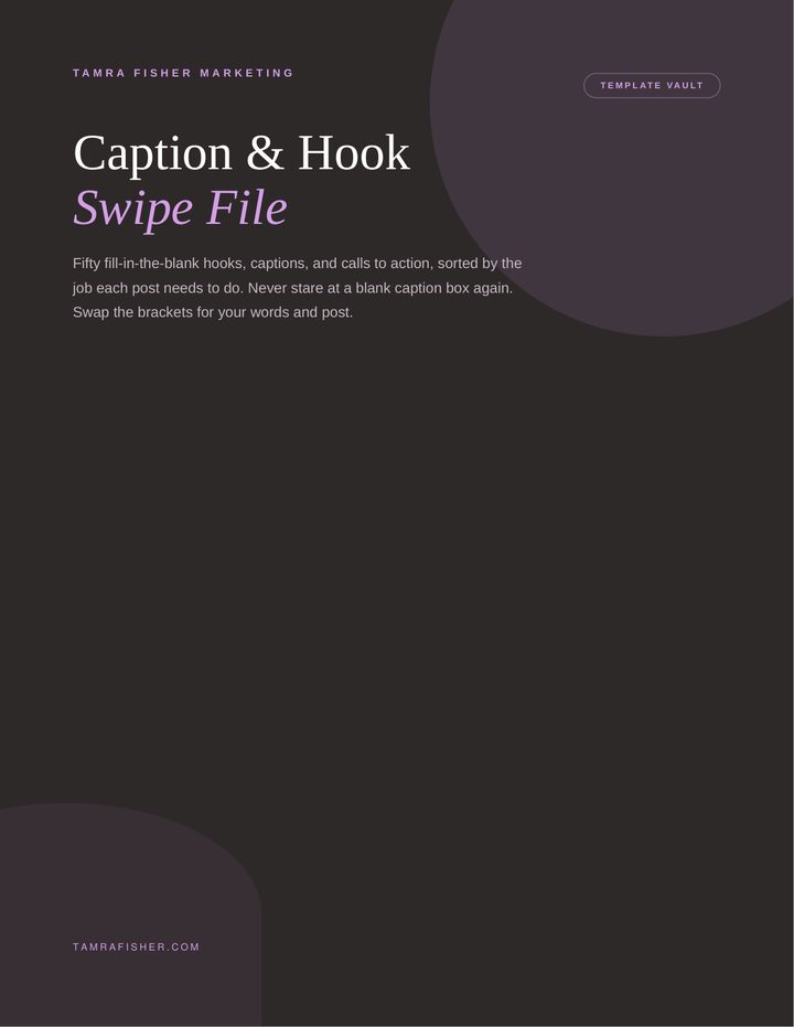 Cover of the Caption and Hook Swipe File